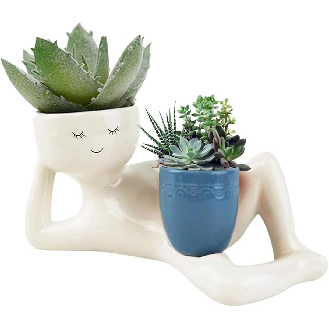 Delyrot Happy Pot™ – Double Succulent Planter